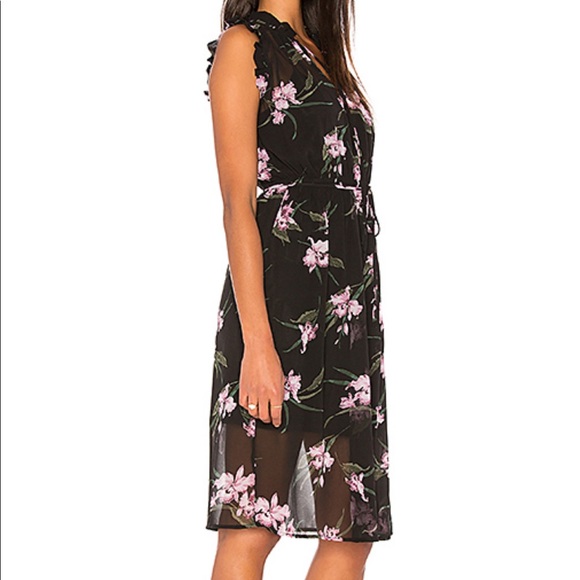 NWT BB Dakota Sarah Sheer Floral Ruffle Dress XS - Picture 3 of 16